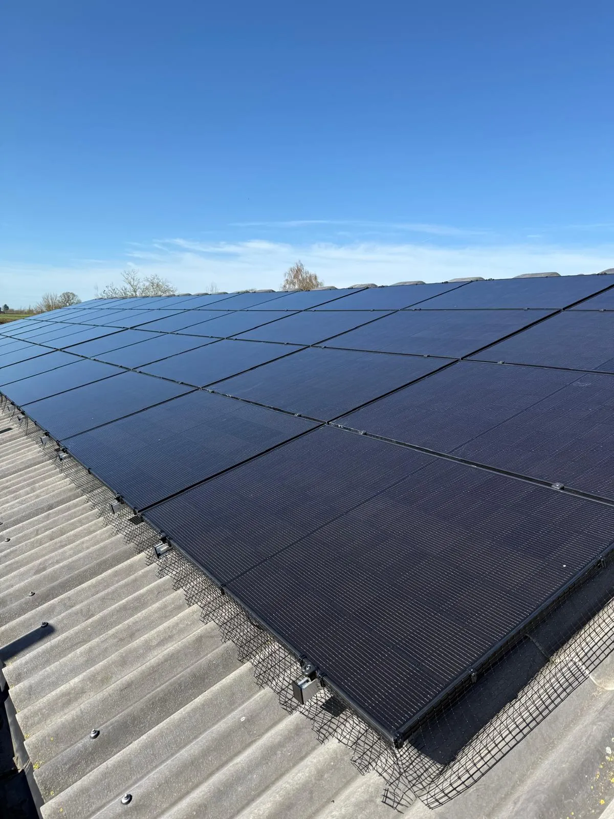 solar panels